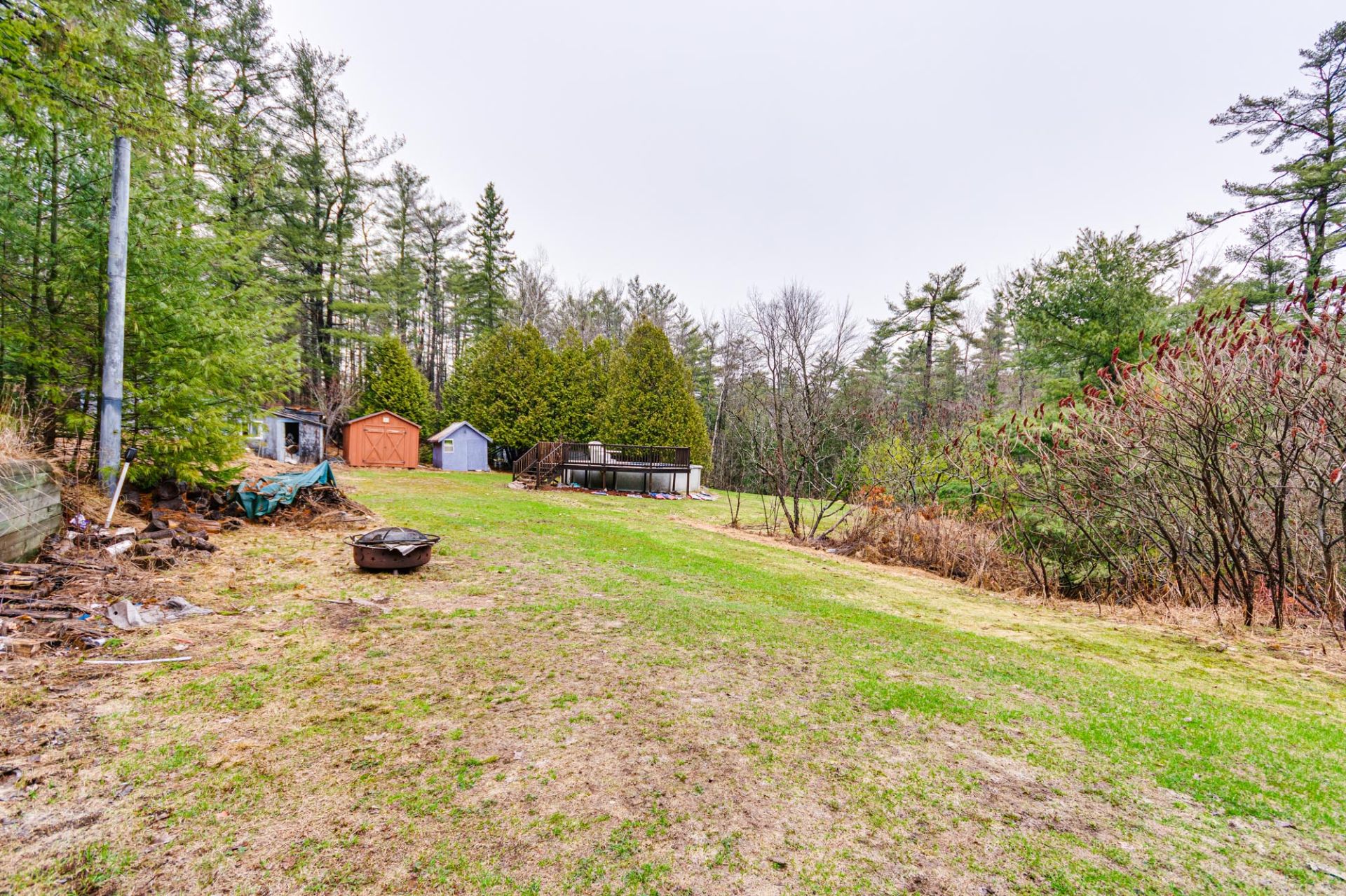 Photo - Backyard