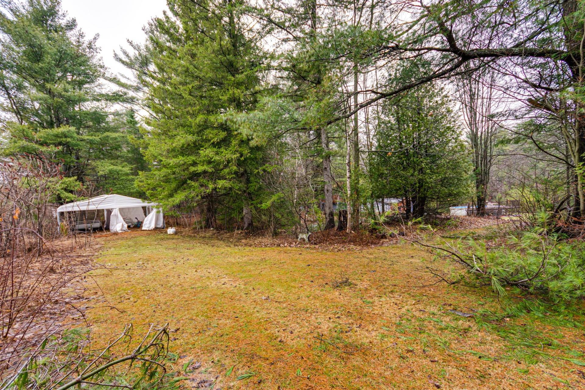 Photo - Land/Lot