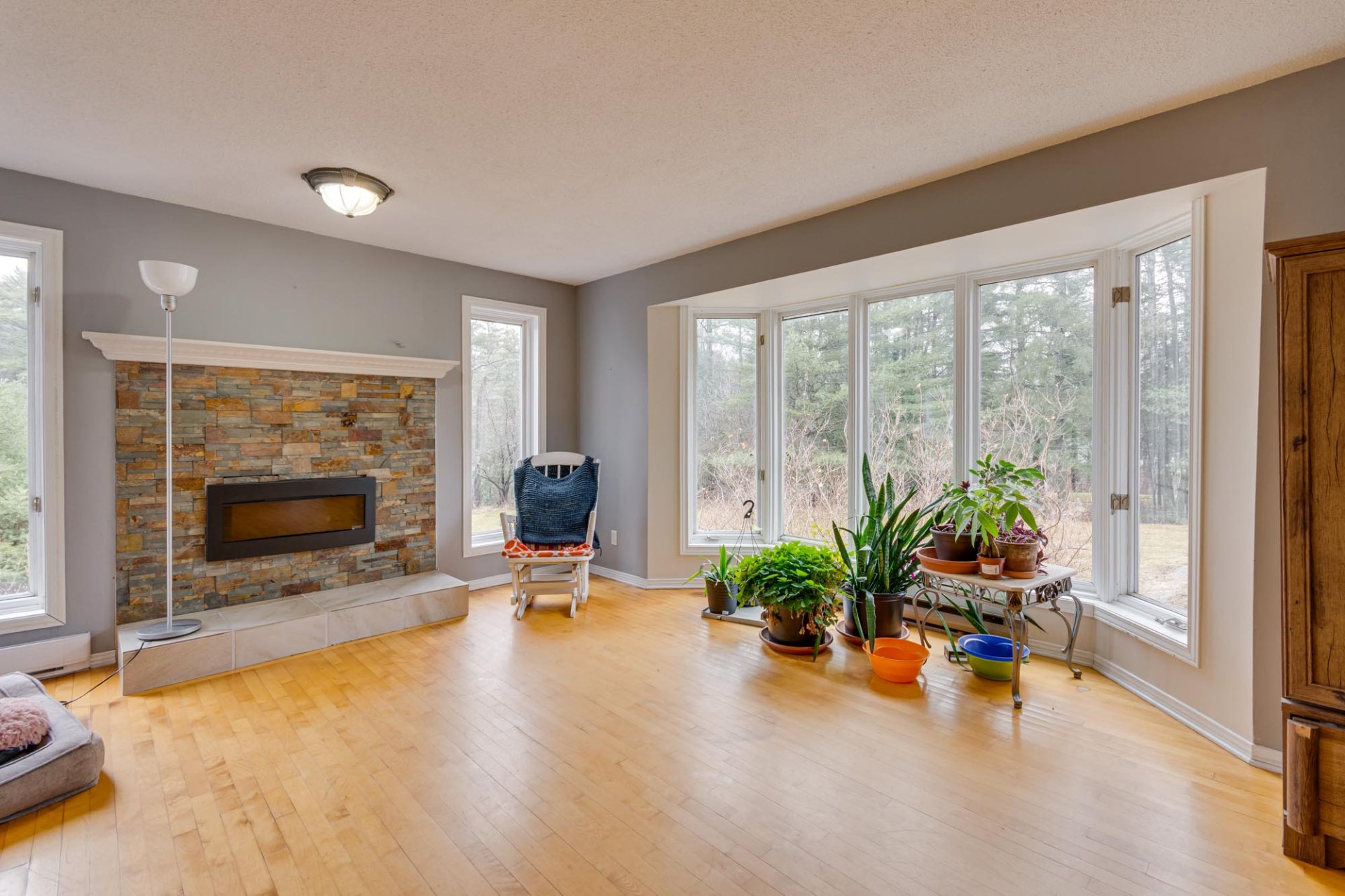 Photo - Living room