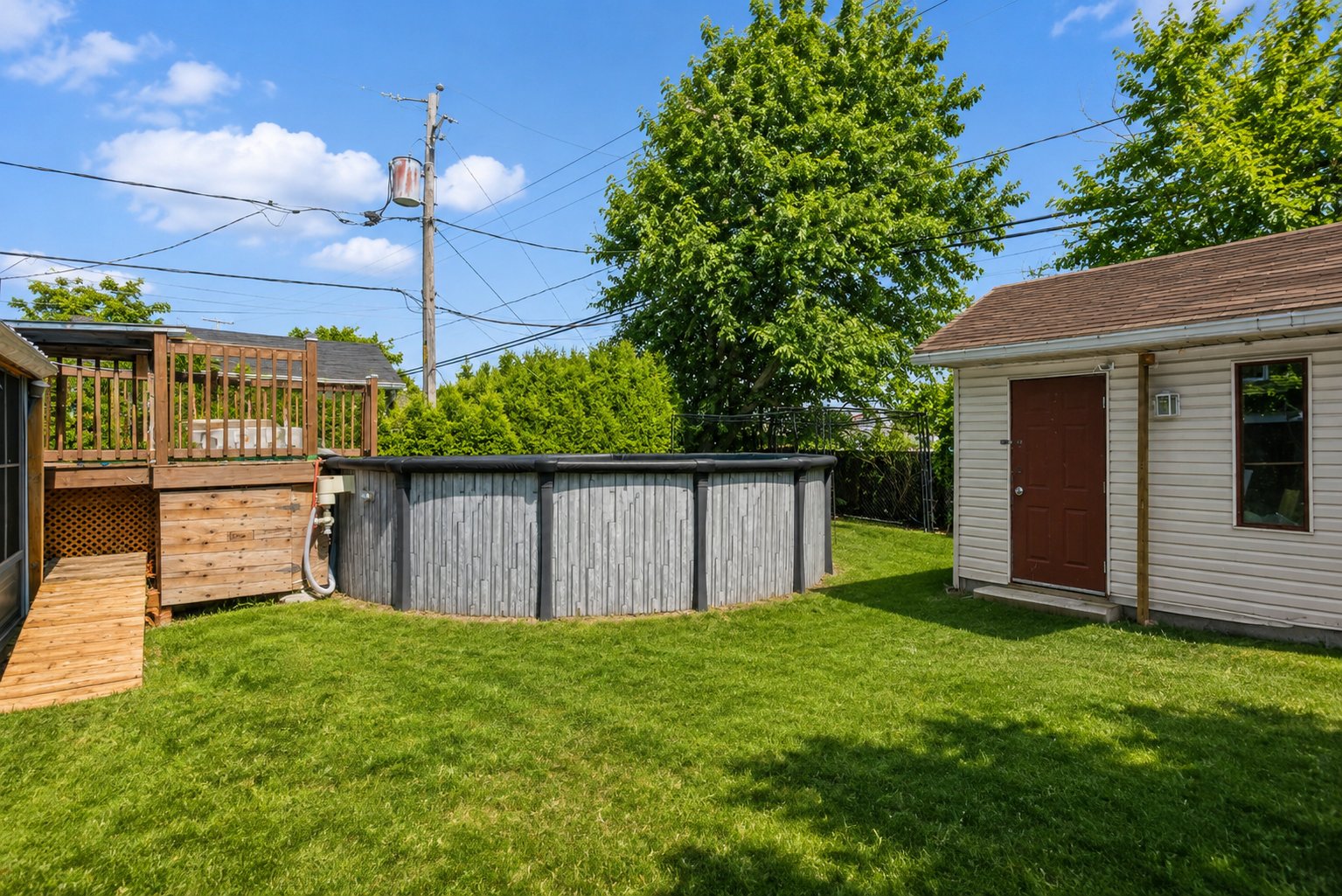 Photo - Backyard