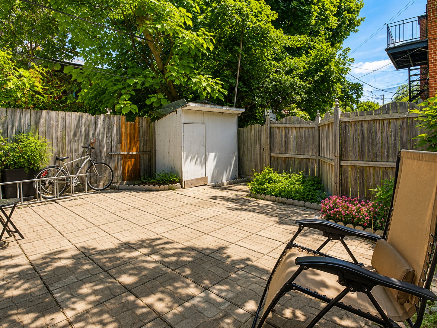 Photo - Backyard
