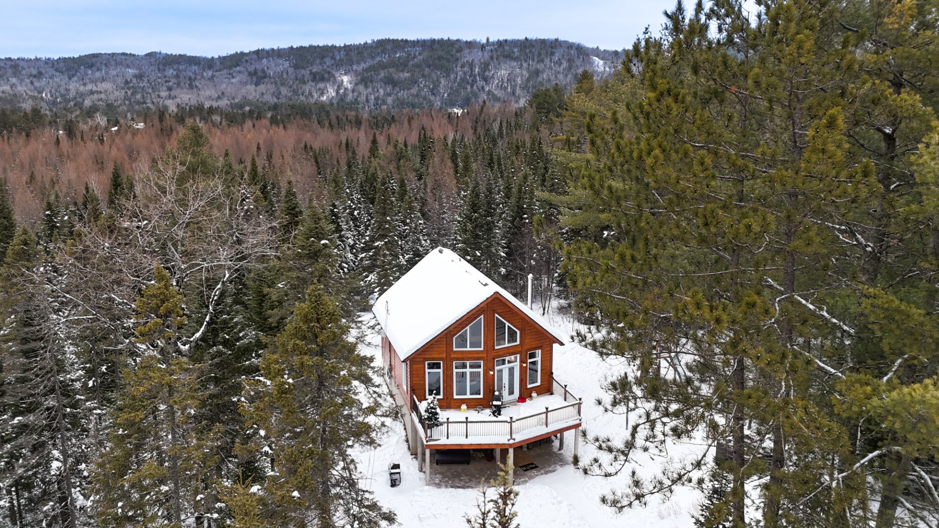 Photo - Aerial photo