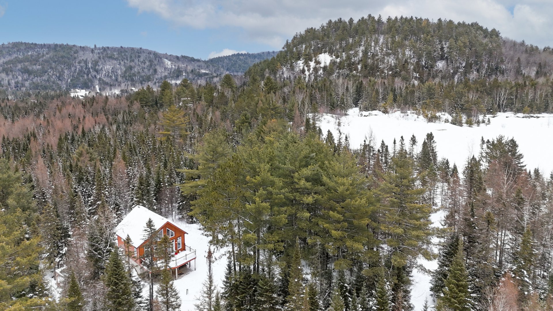 Photo - Aerial photo