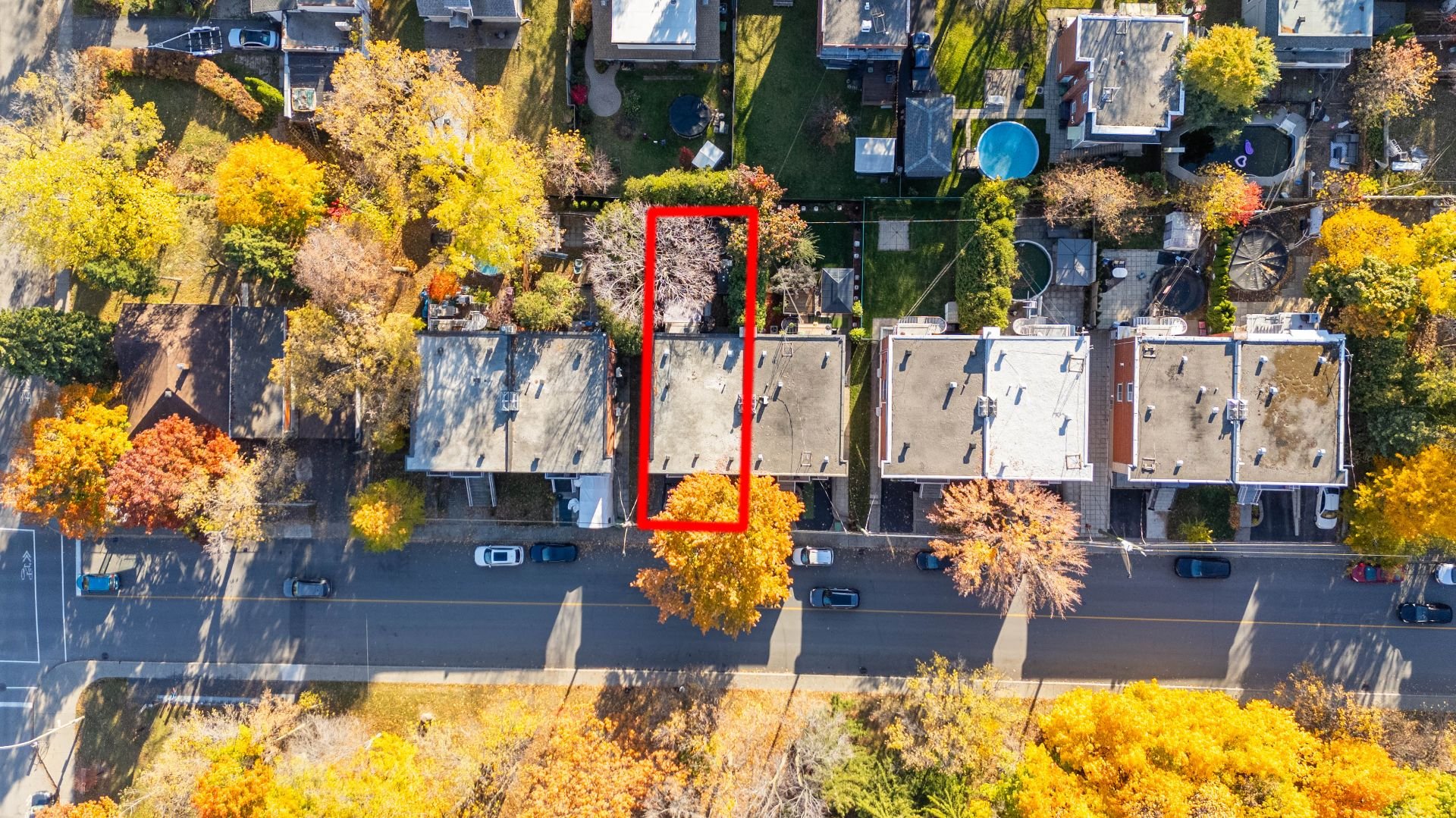 Photo - Overall View