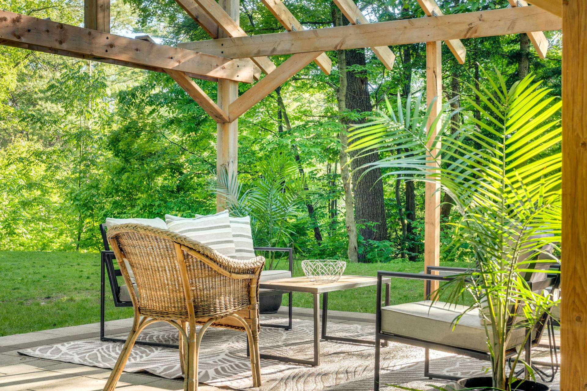 Photo - Backyard