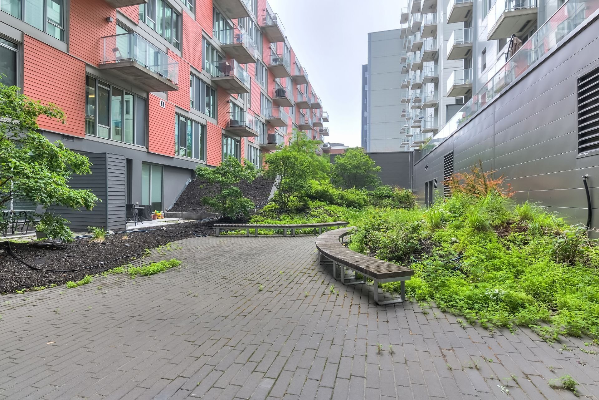 Photo - Backyard