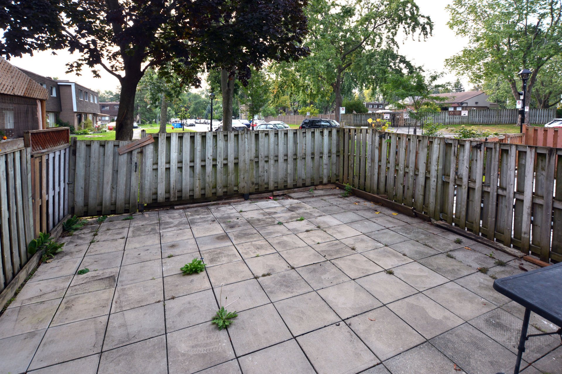 Photo - Backyard
