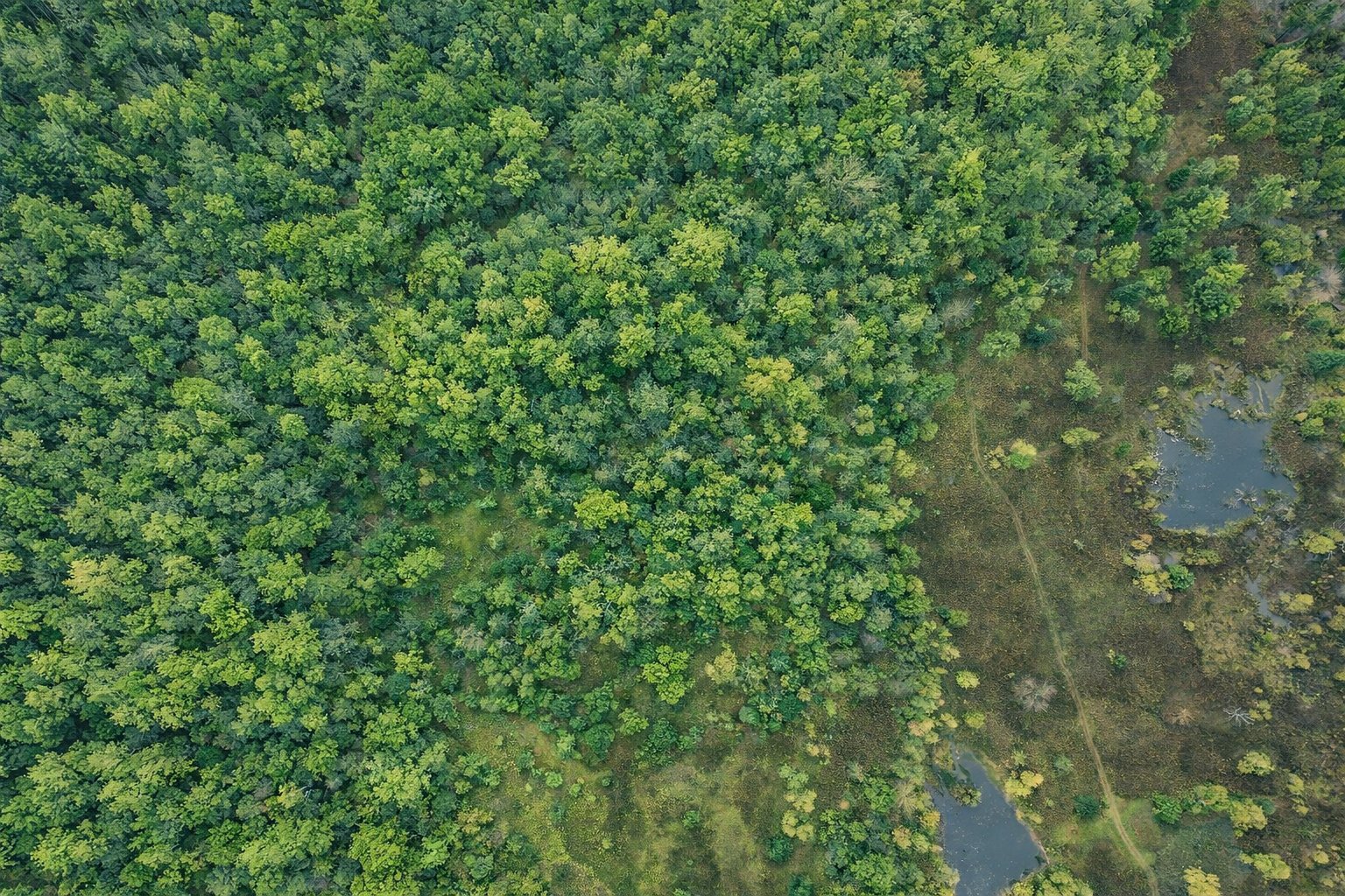 Photo - Photo aérienne