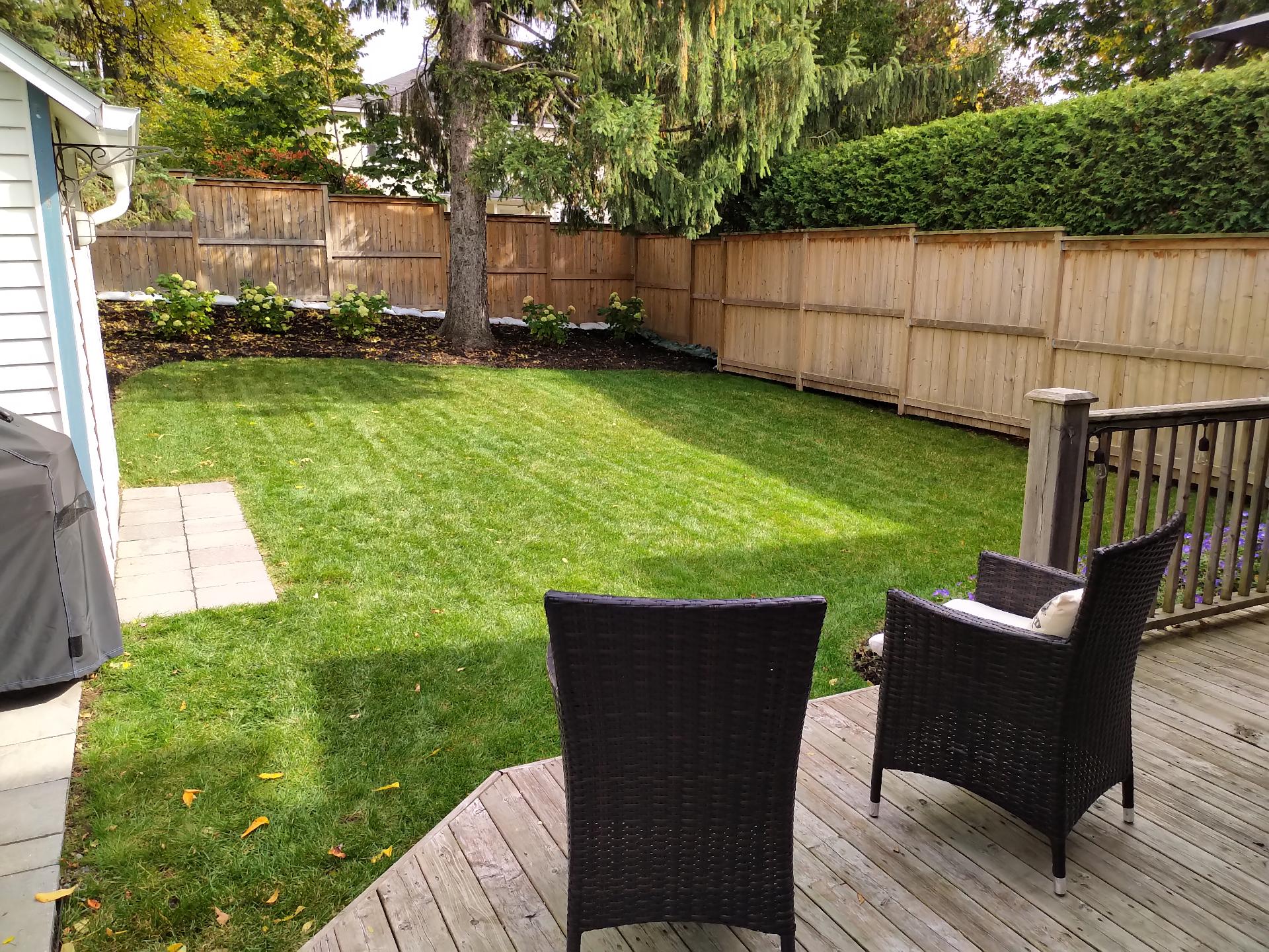Photo - Backyard