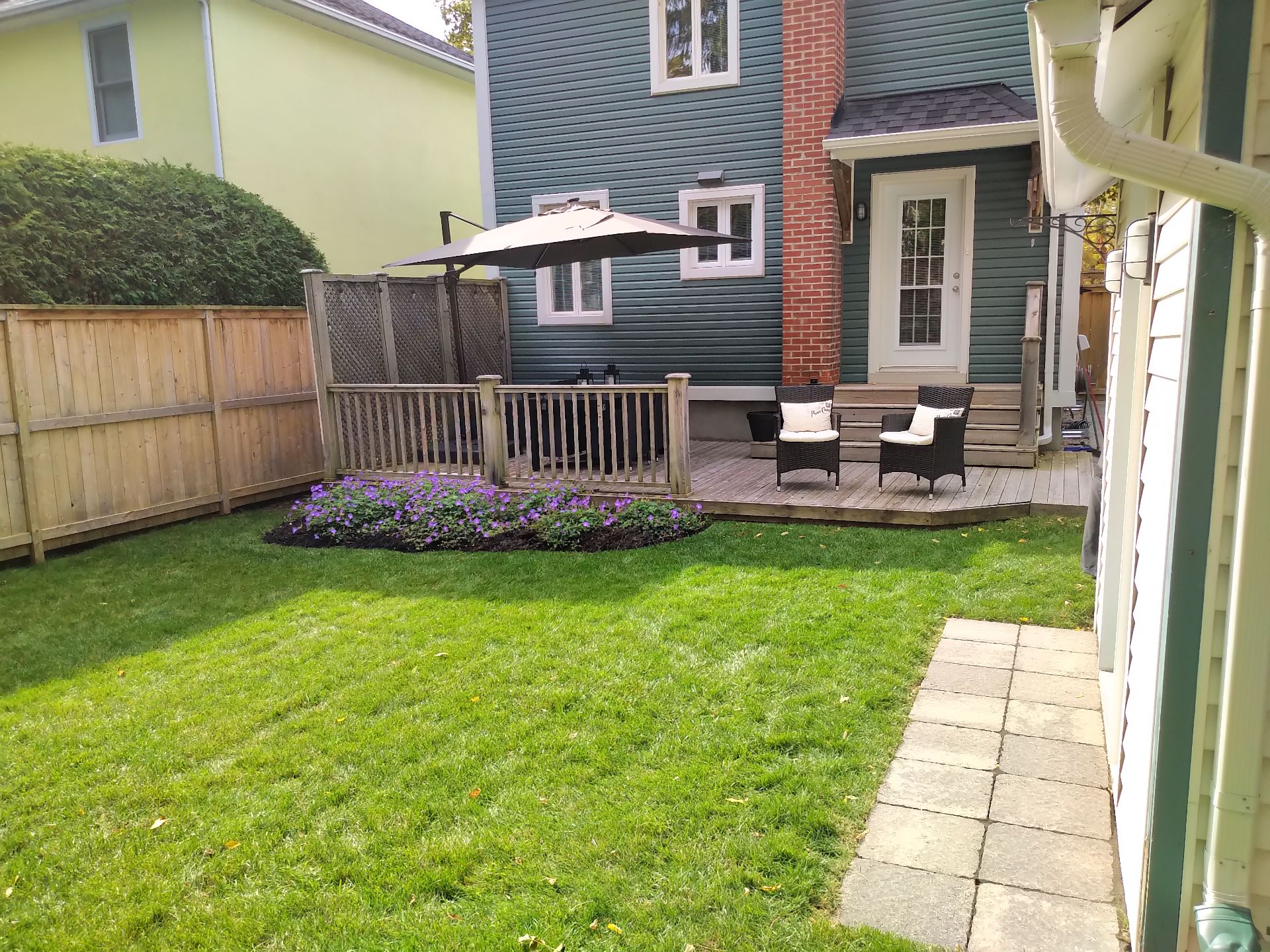 Photo - Backyard