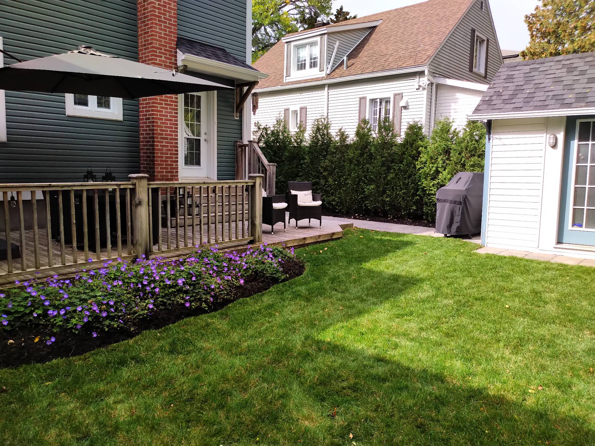 Photo - Backyard