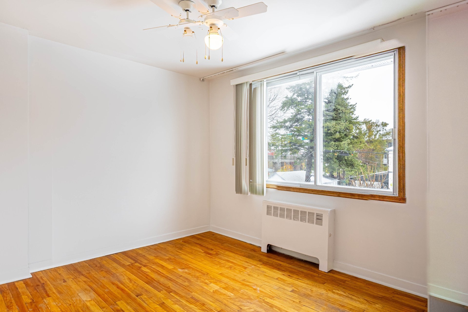 Photo - Primary bedroom