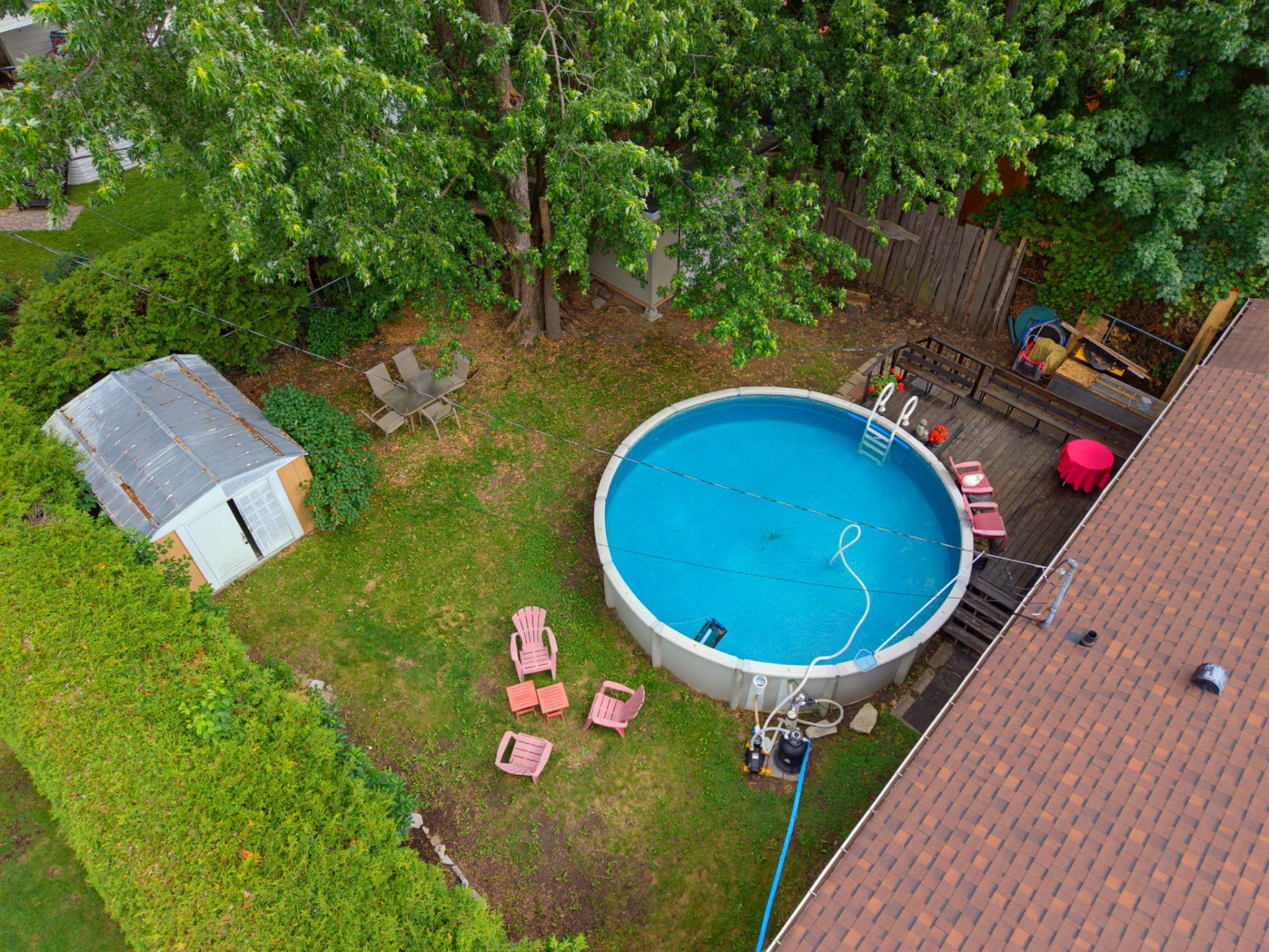 Photo - Backyard