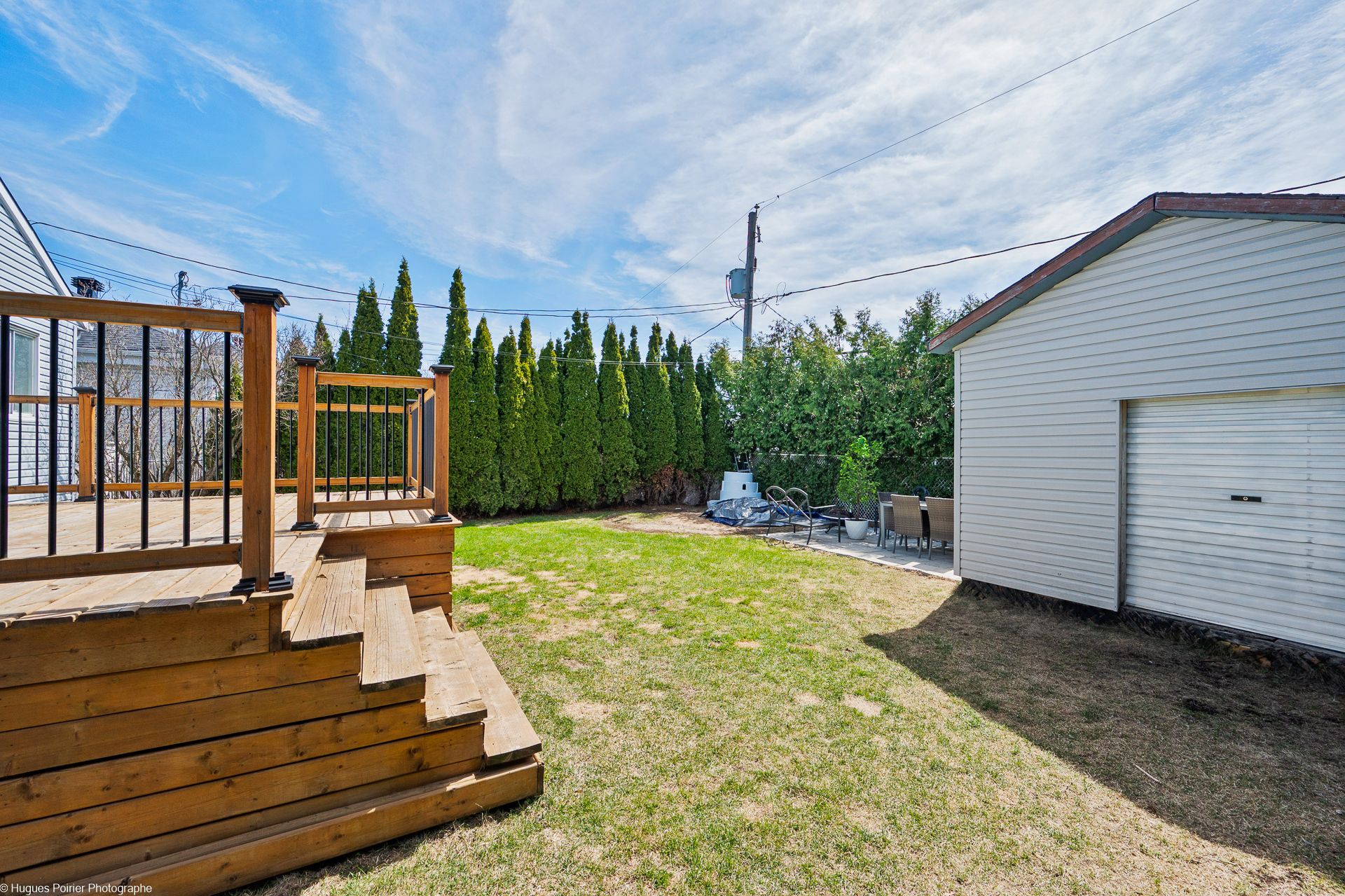 Photo - Backyard