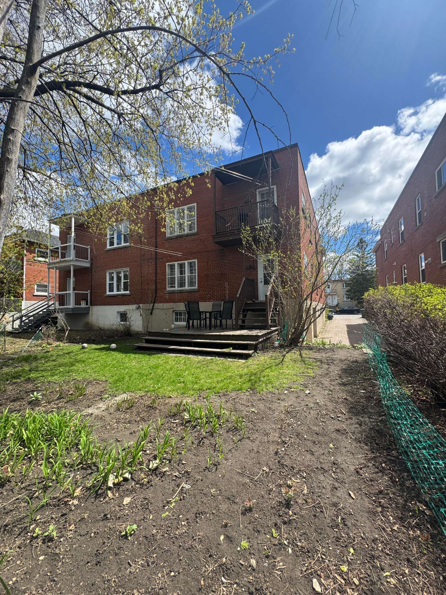 Photo - Backyard