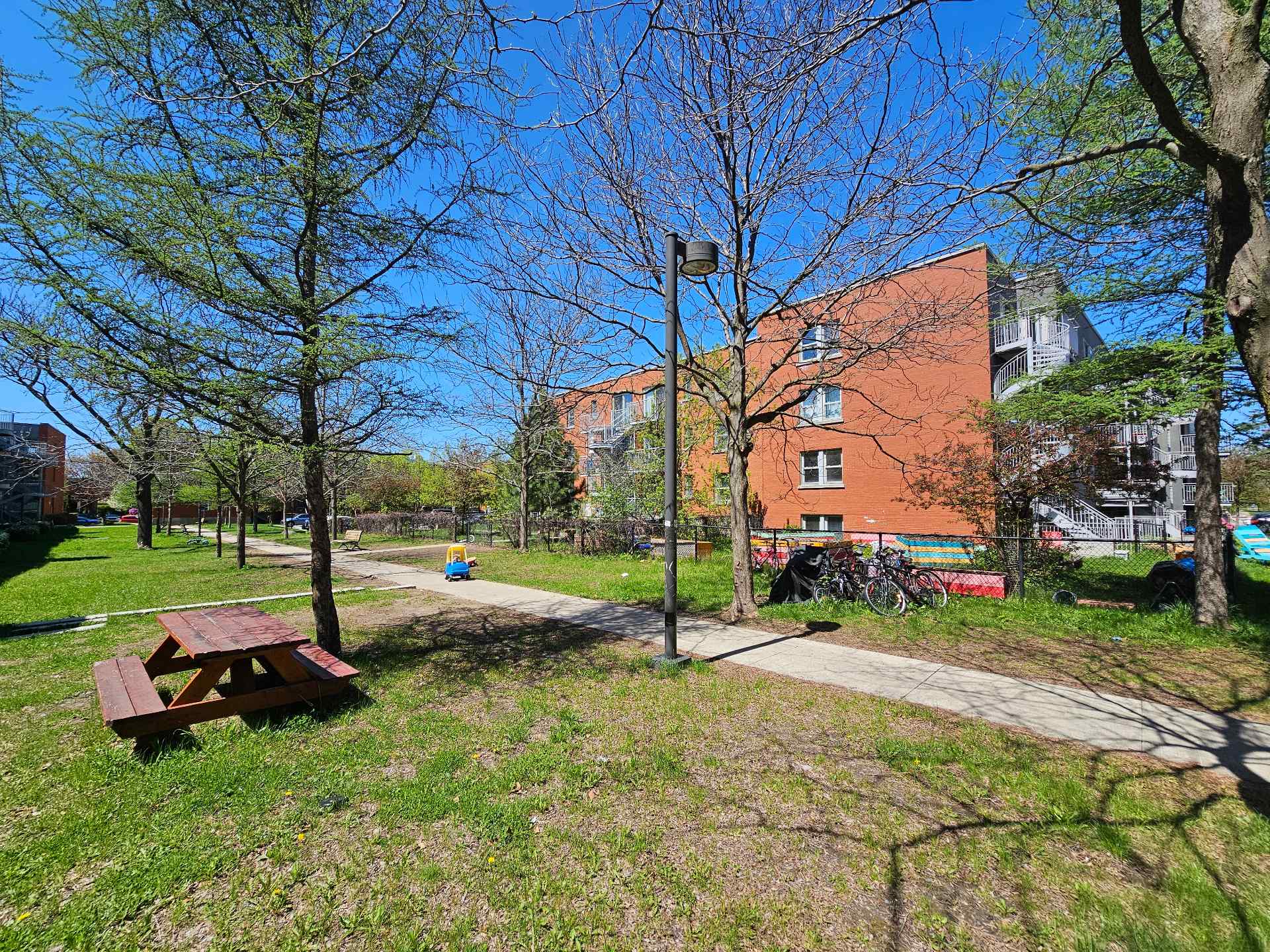 Photo - Backyard