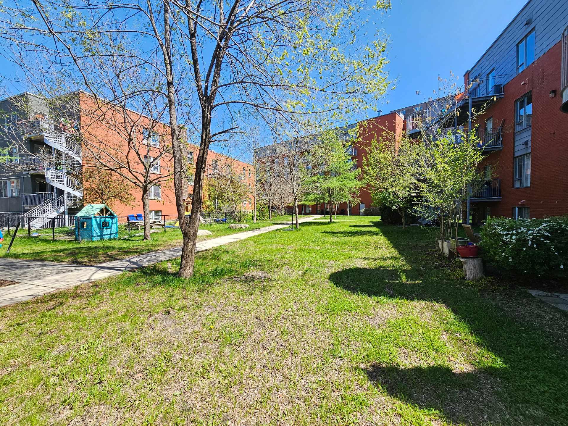 Photo - Backyard