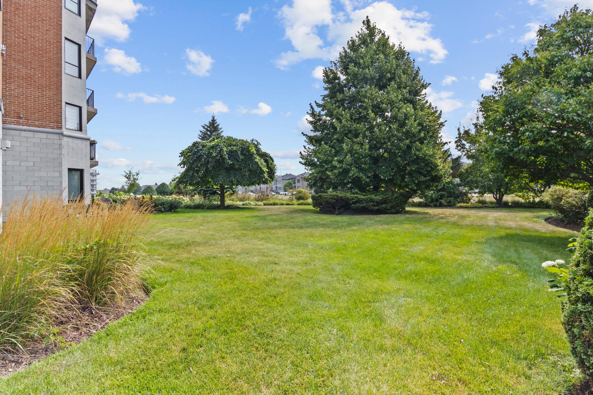 Photo - Face arrière