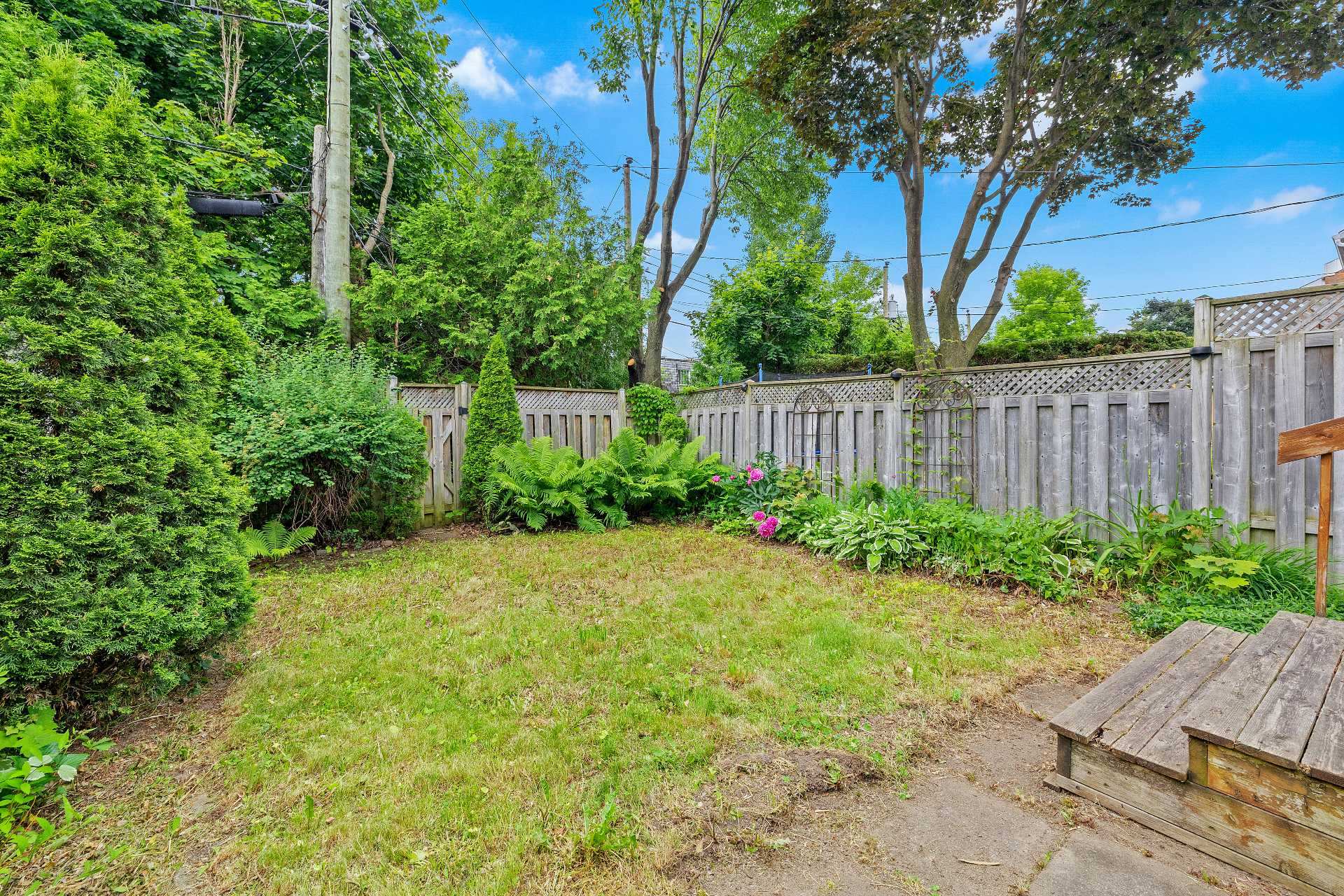 Photo - Backyard