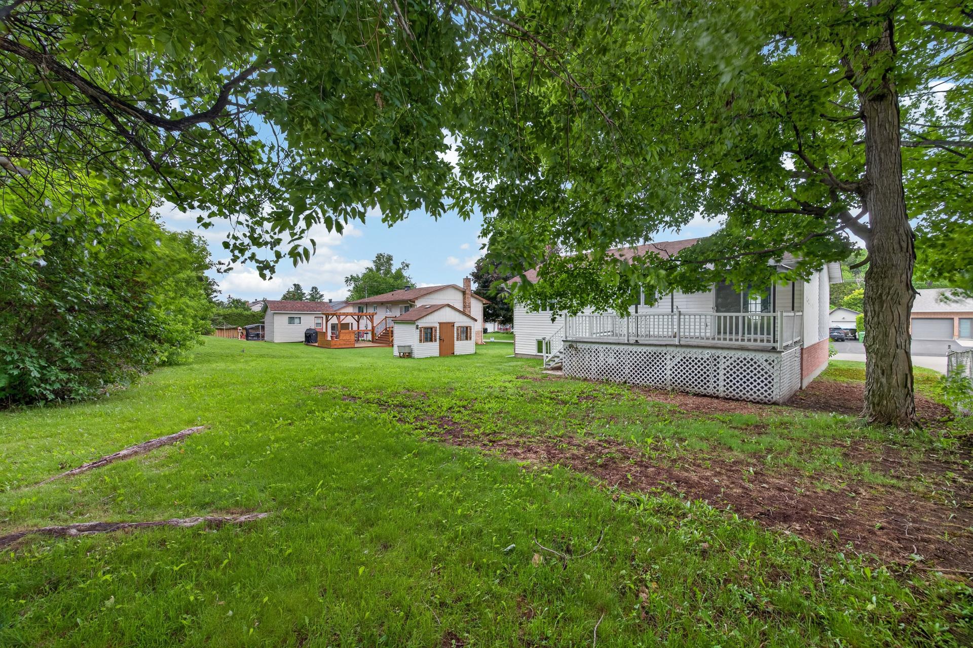 Photo - Backyard