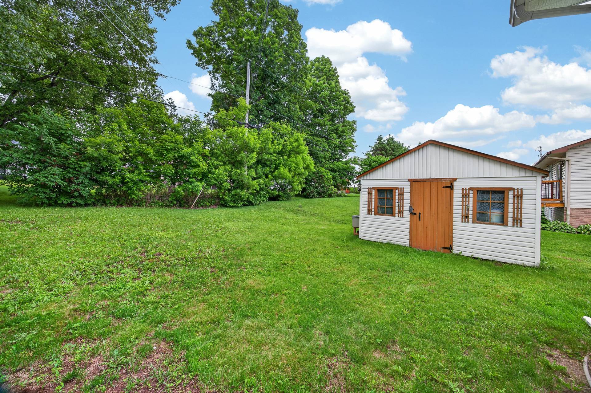 Photo - Backyard