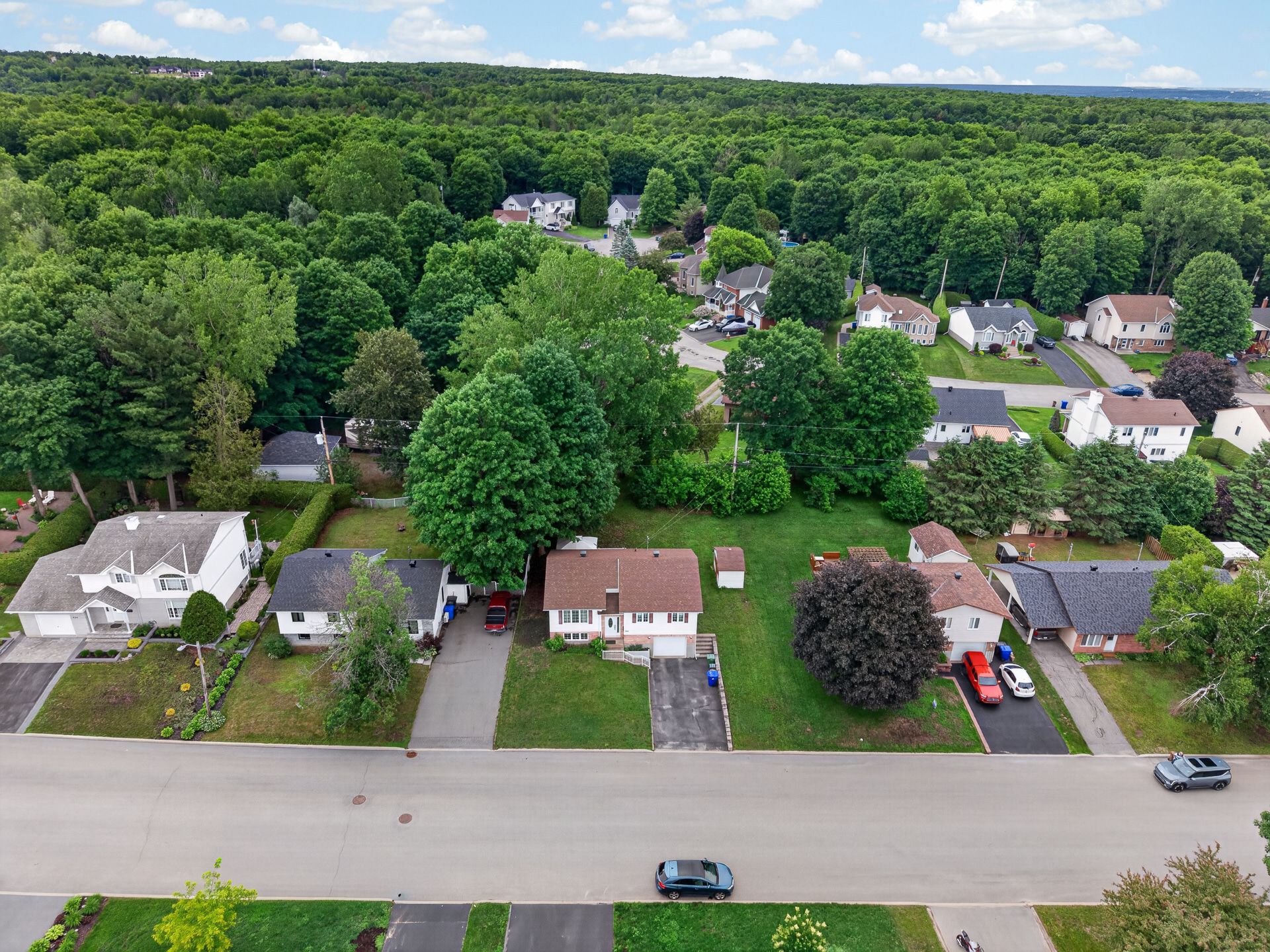 Photo - Aerial photo