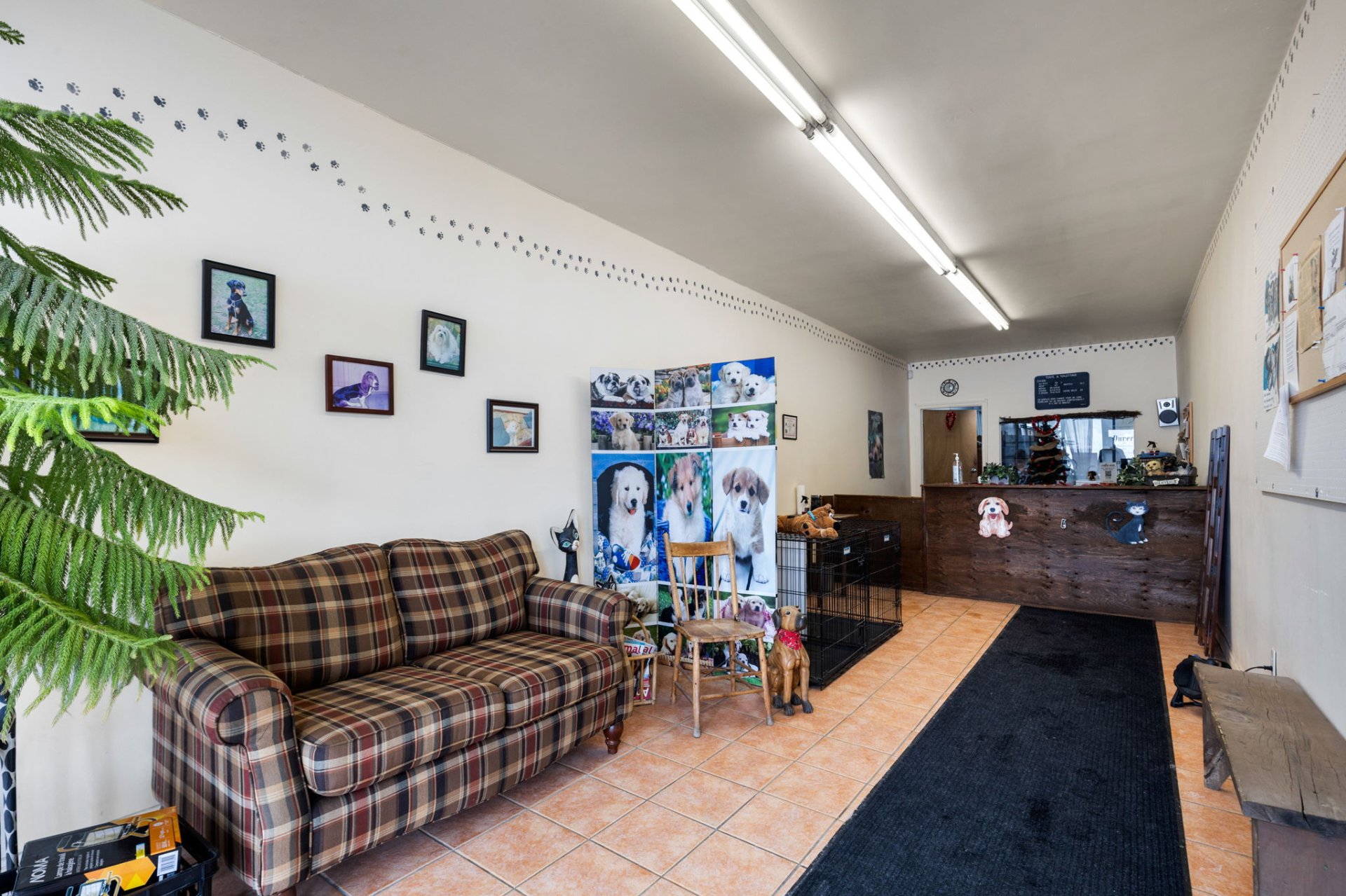 Photo - Interior