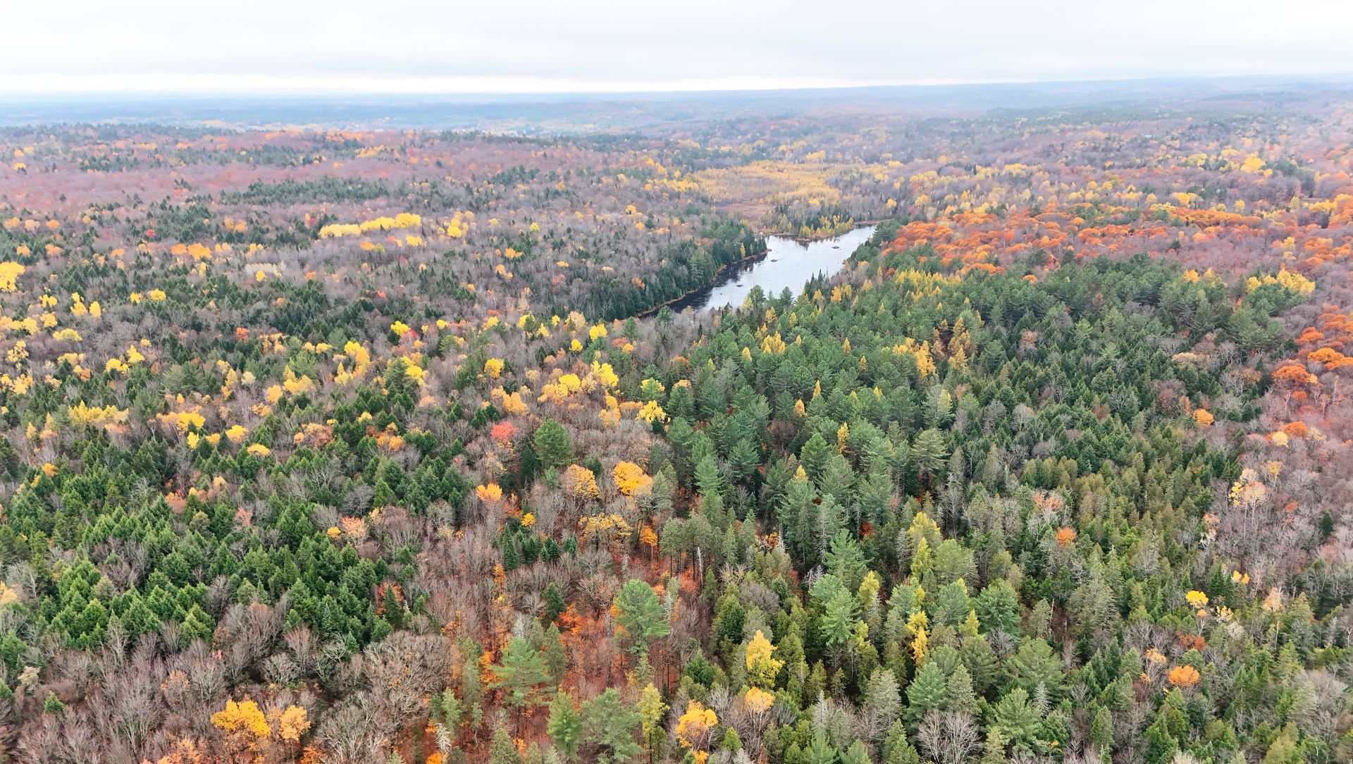 Photo - Overall View