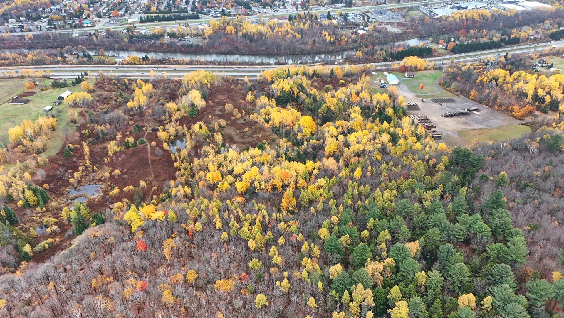 Photo - Overall View