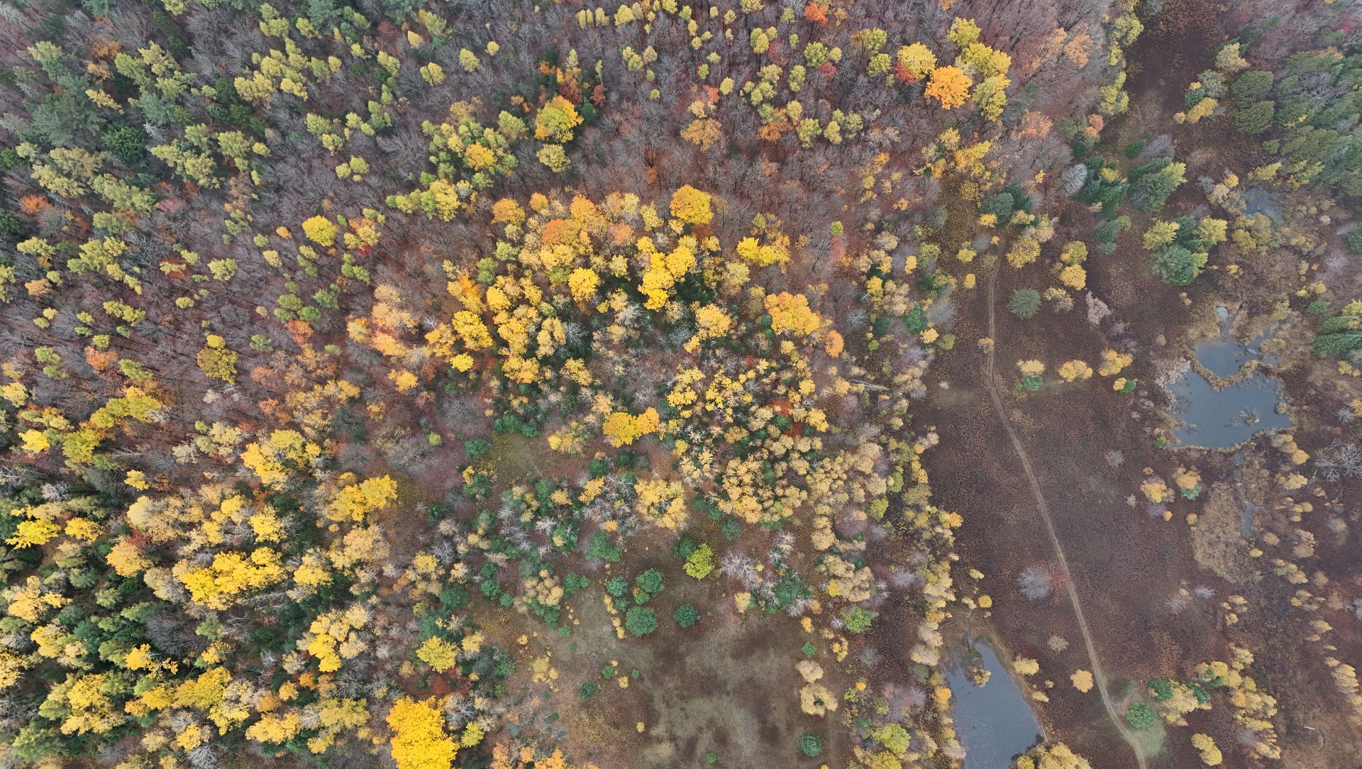 Photo - Overall View