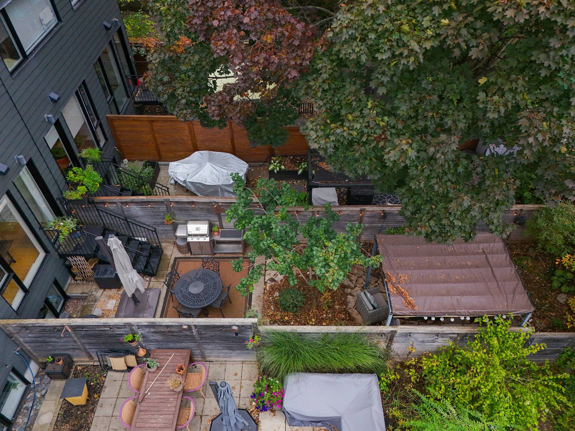 Photo - Aerial photo