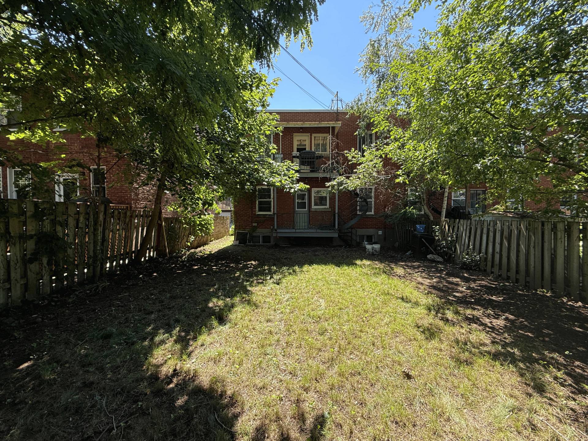 Photo - Backyard