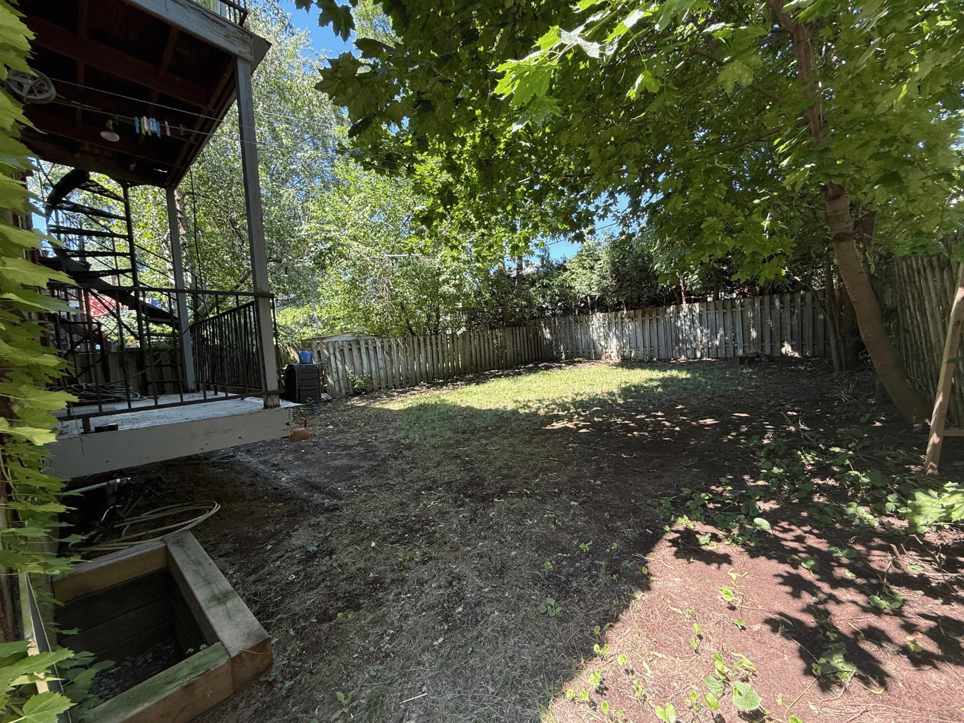 Photo - Backyard