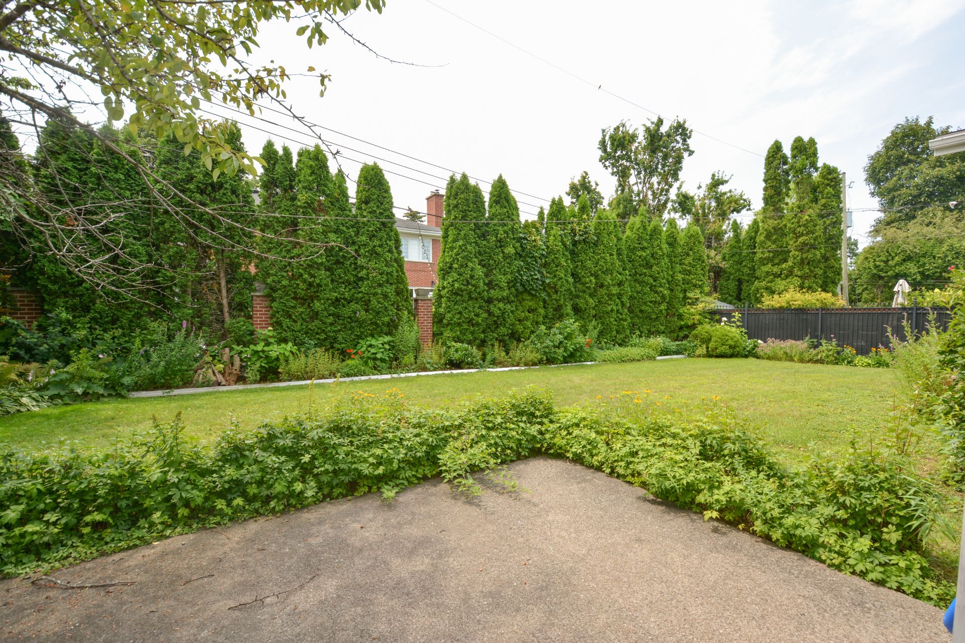 Photo - Backyard