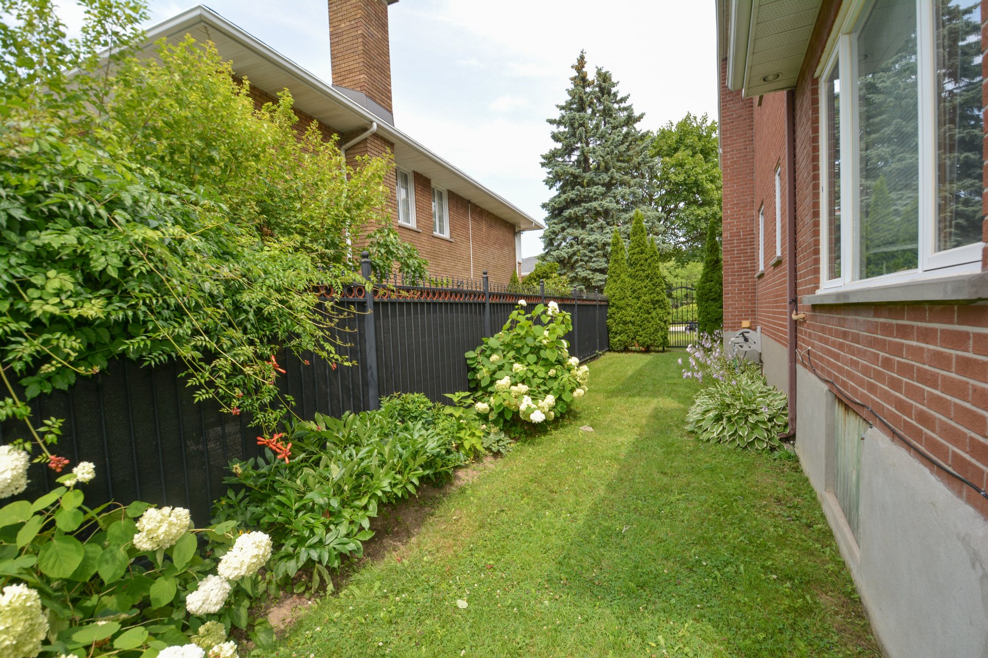 Photo - Garden