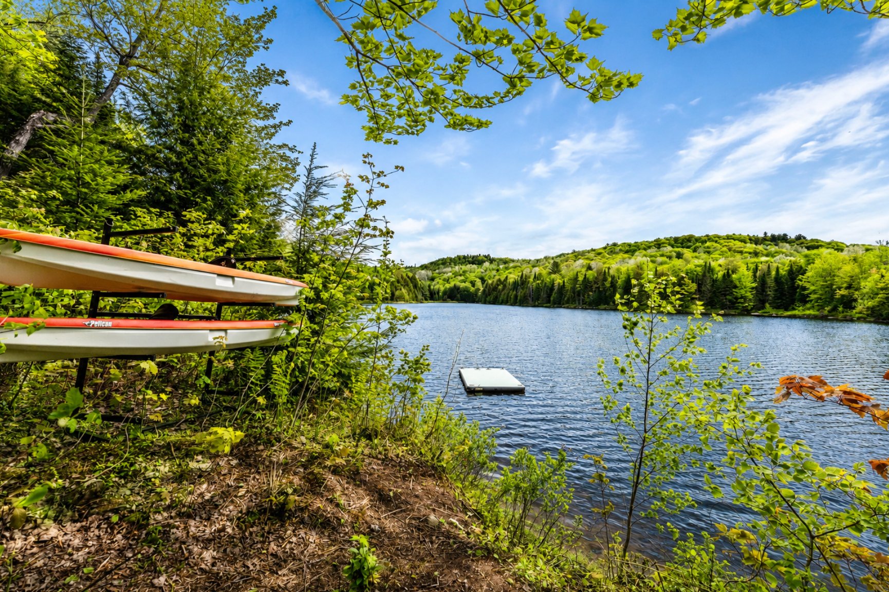 Photo - Bord de l'eau
