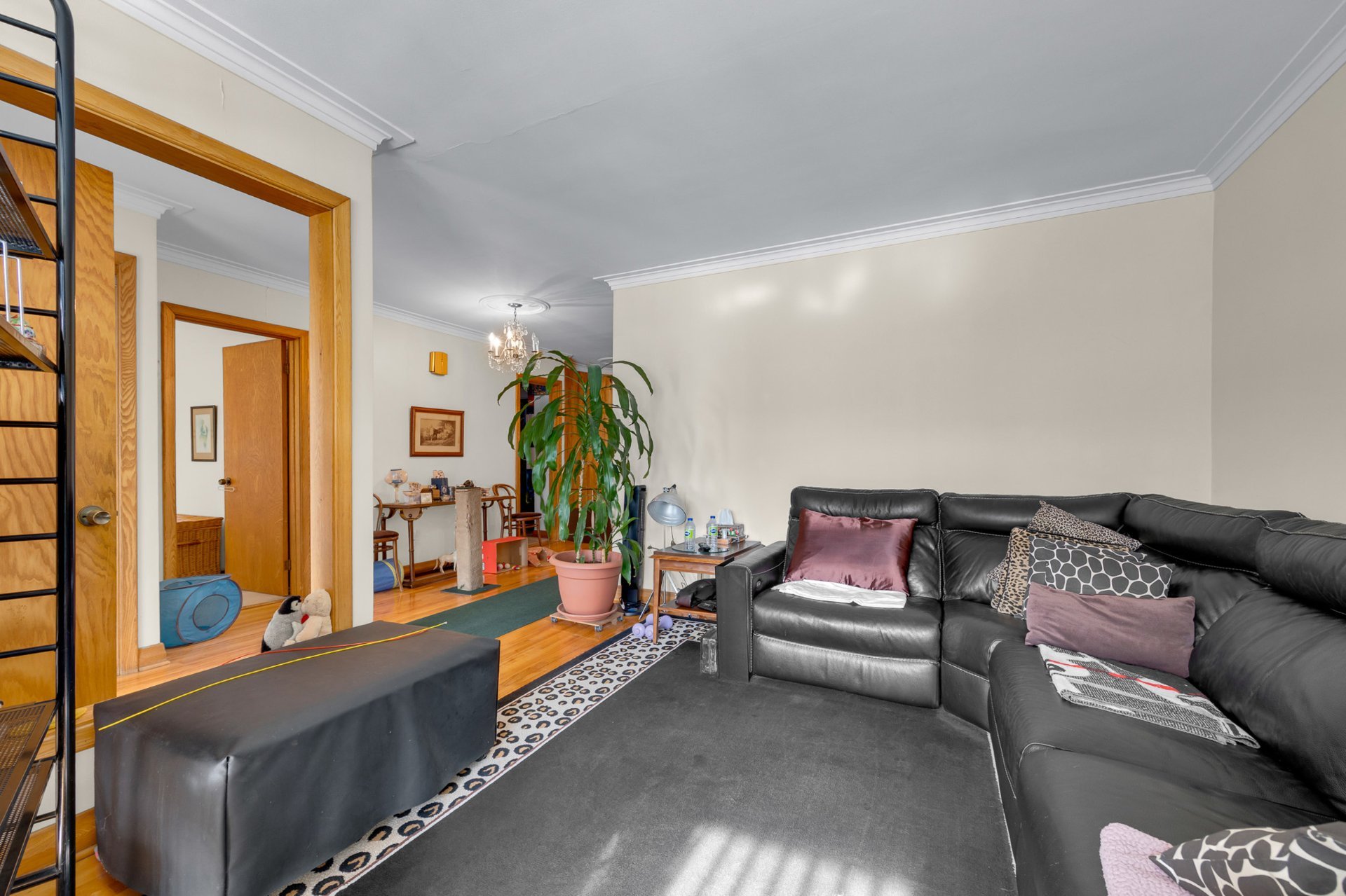 Photo - Salon