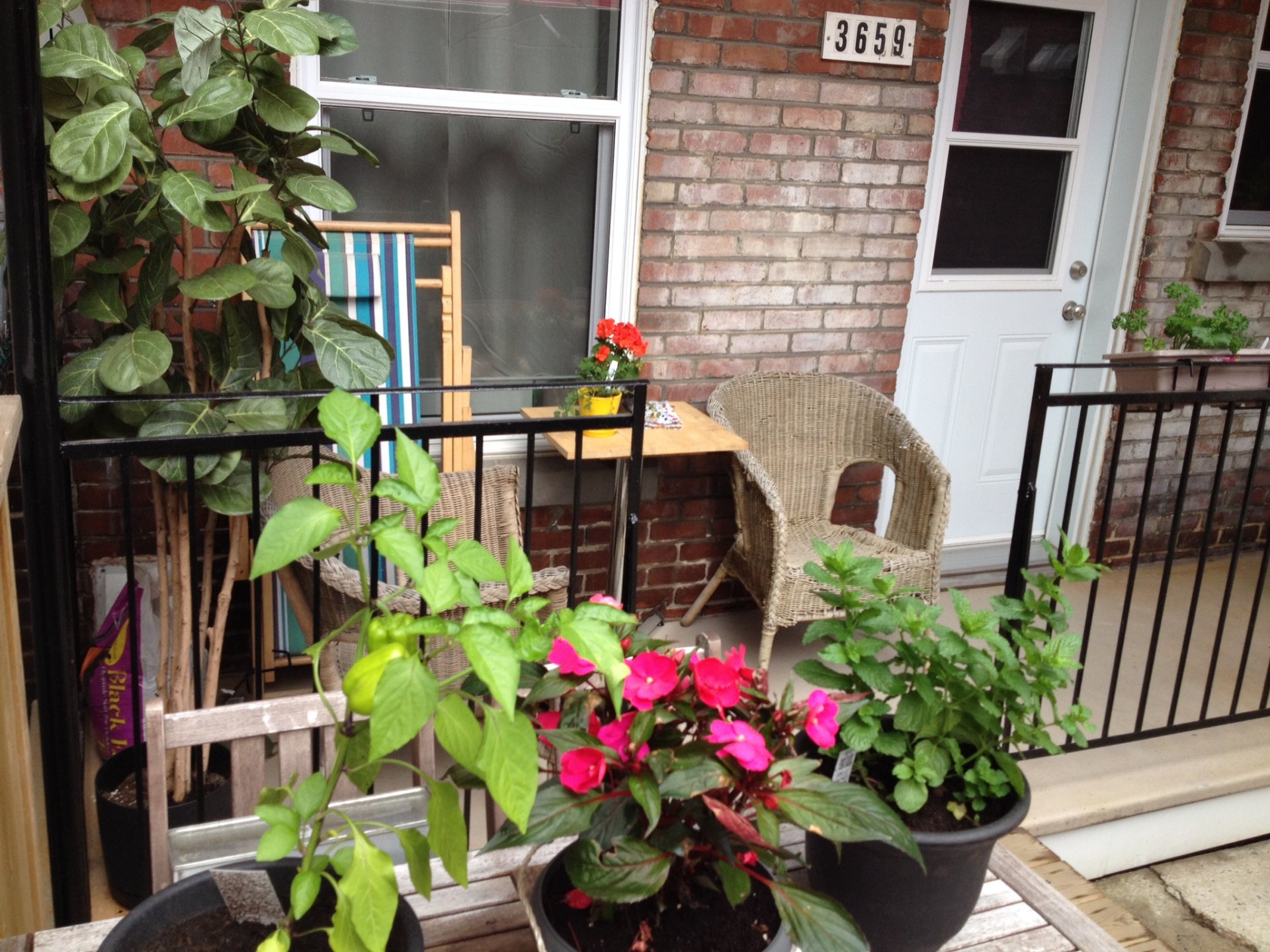 Photo - Extérieur