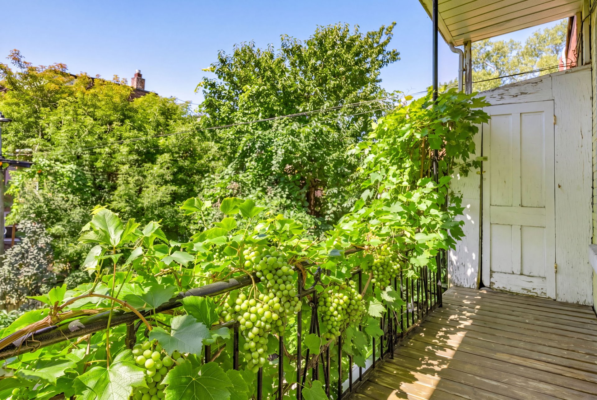 Photo - Balcon