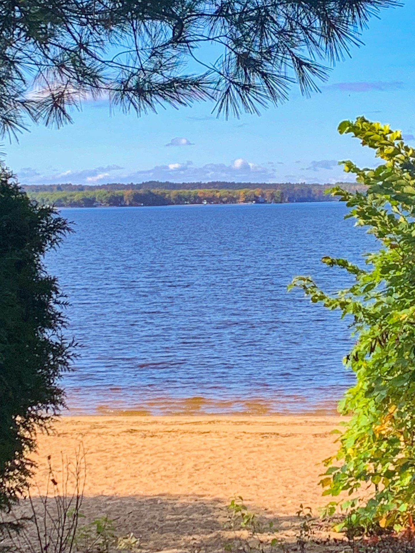 Photo - Accès au plan d'eau