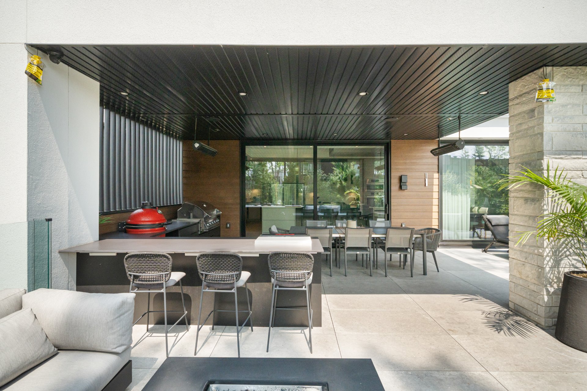 Photo - Backyard