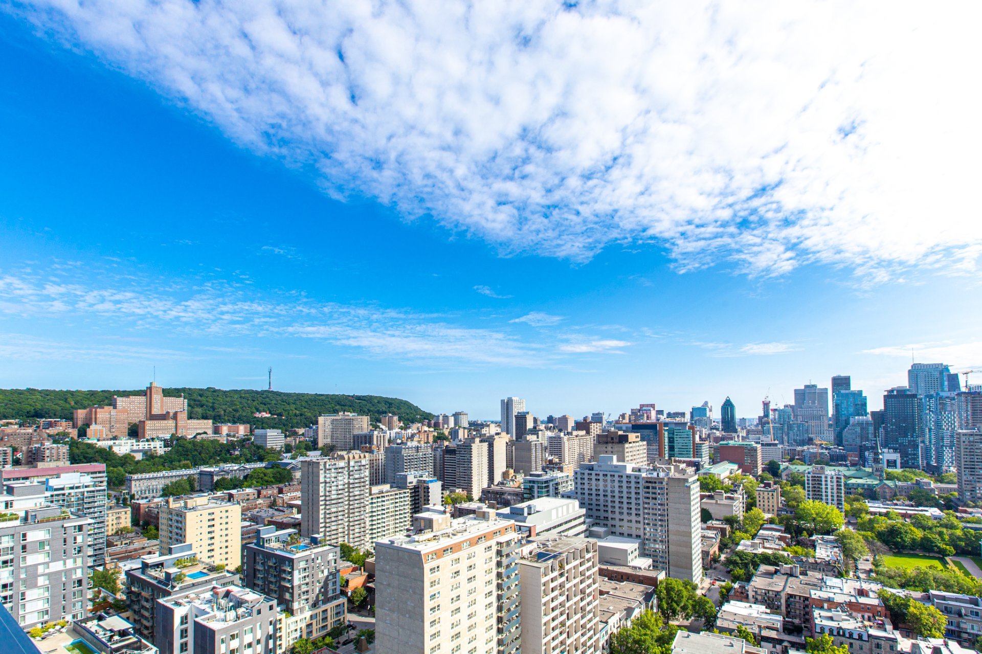 Photo - Vue