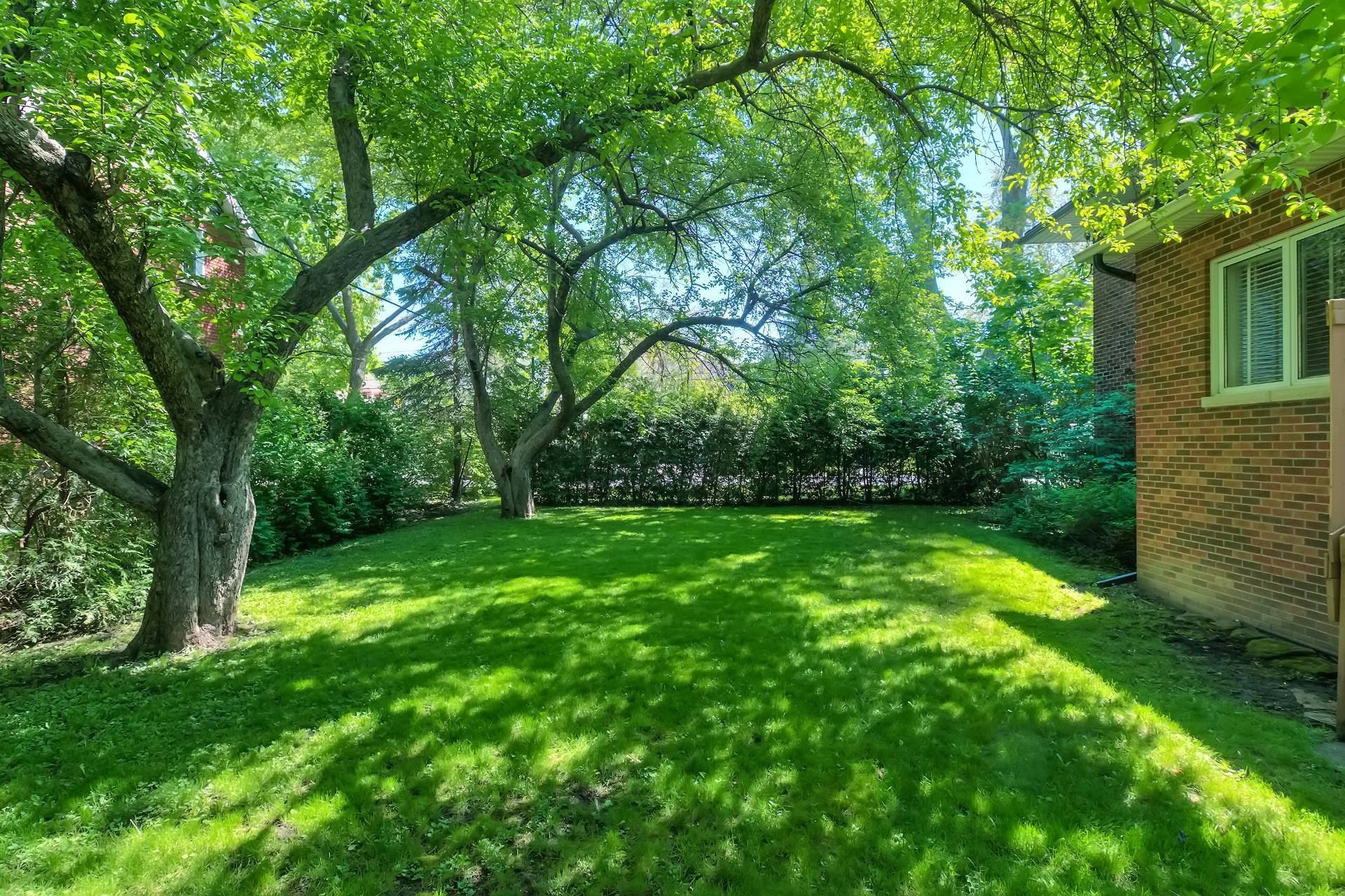Photo - Backyard