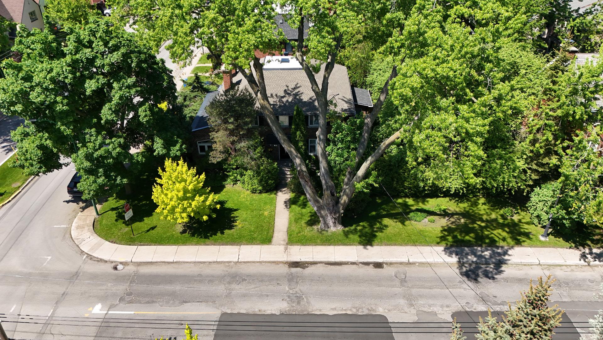 Photo - Aerial photo