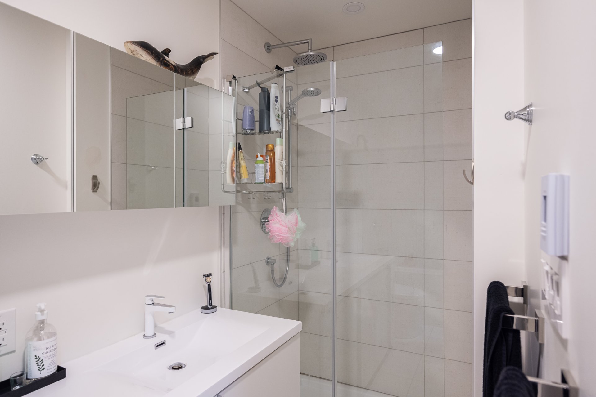 Photo - Salle de bains attenante à la CCP