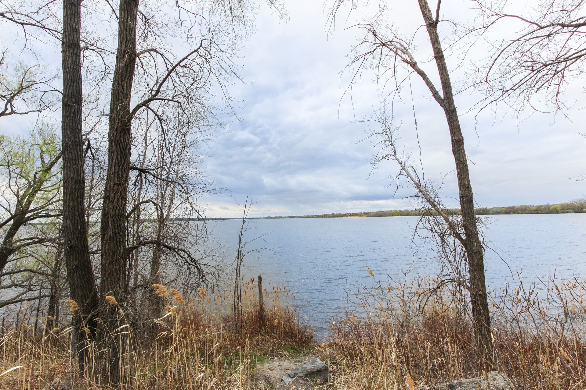 Photo - Bord de l'eau