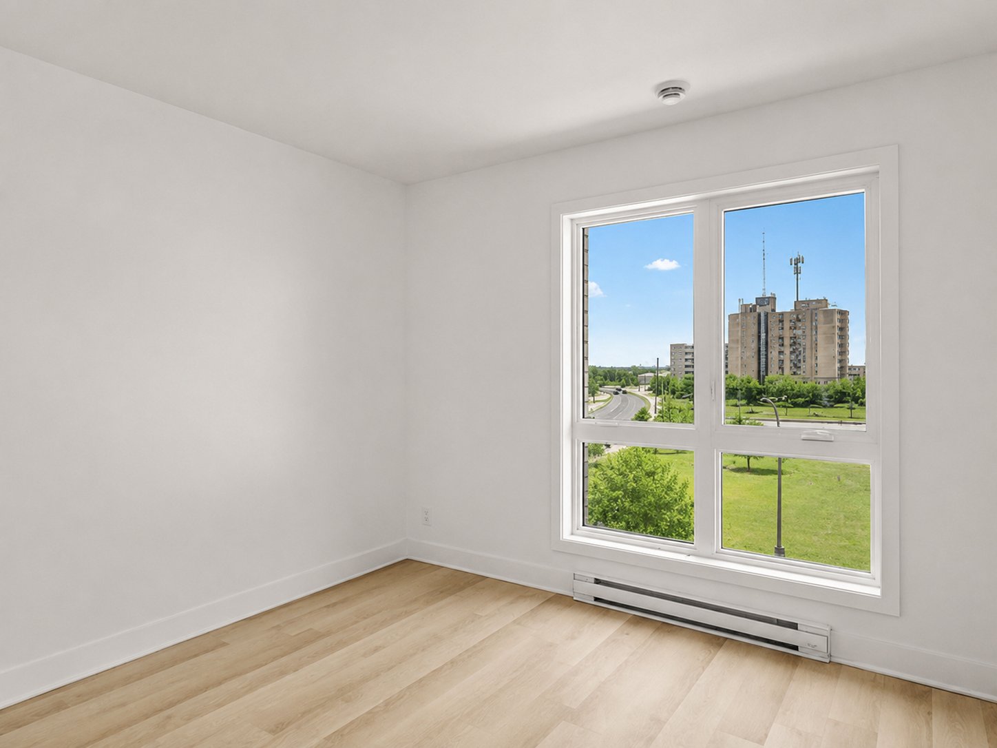 Photo - Office