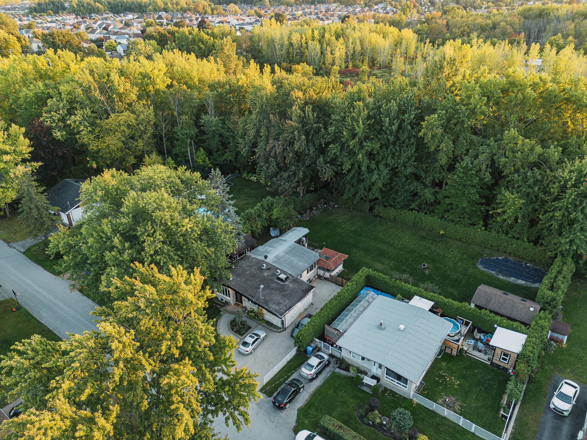 Photo - Aerial photo