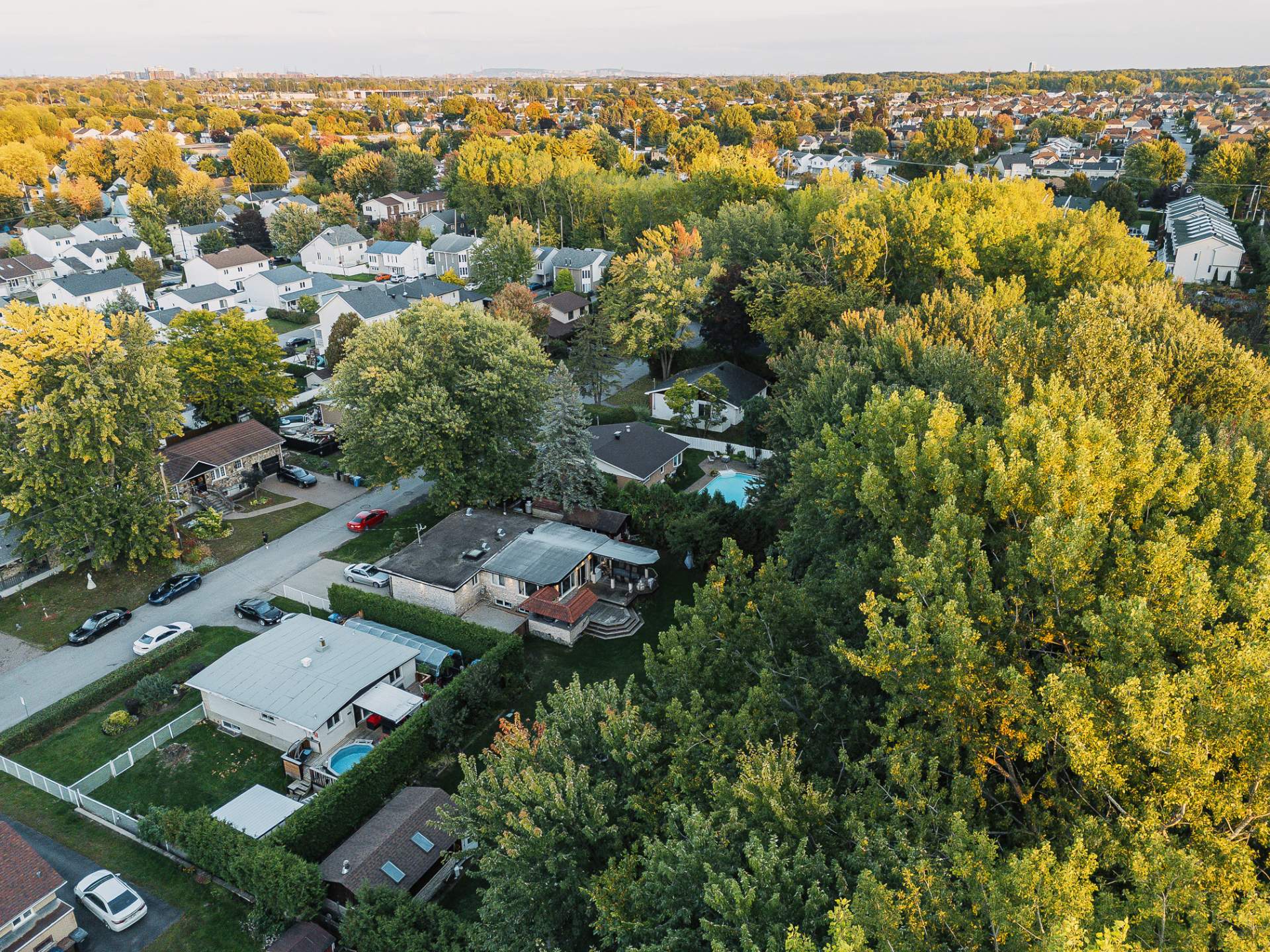 Photo - Aerial photo