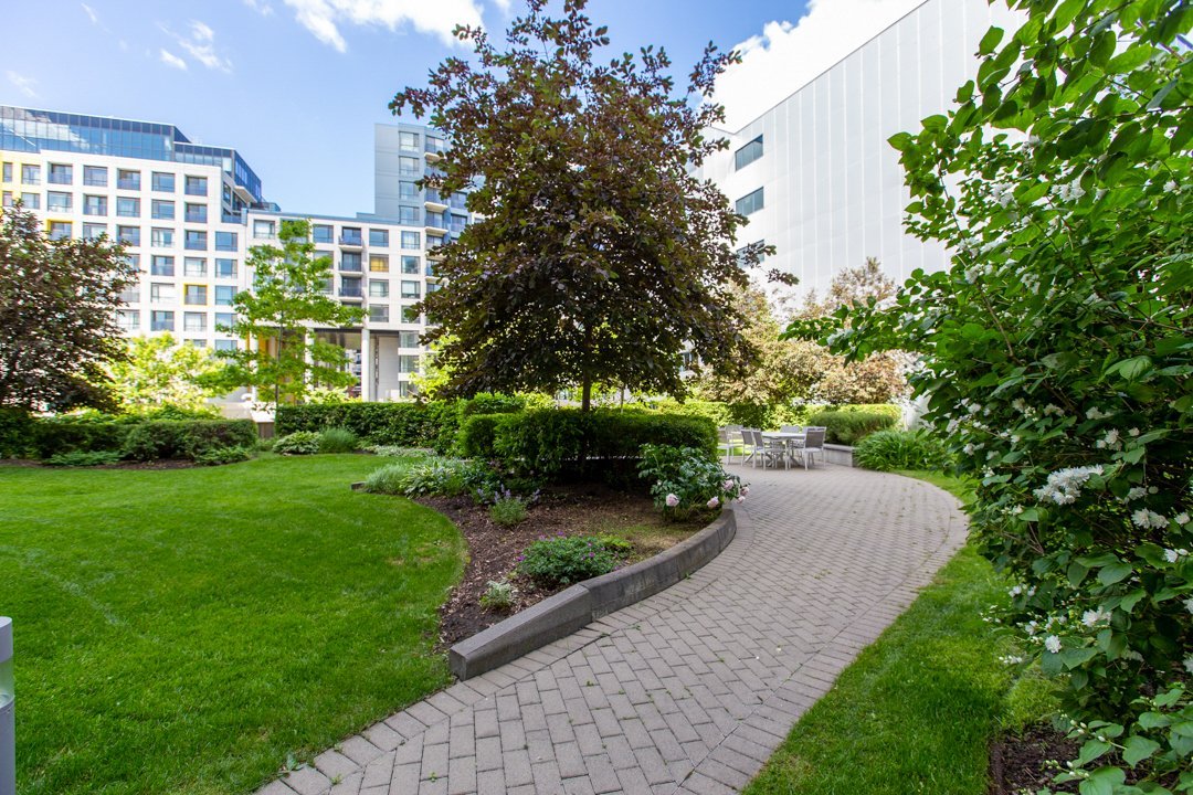 Photo - Jardin